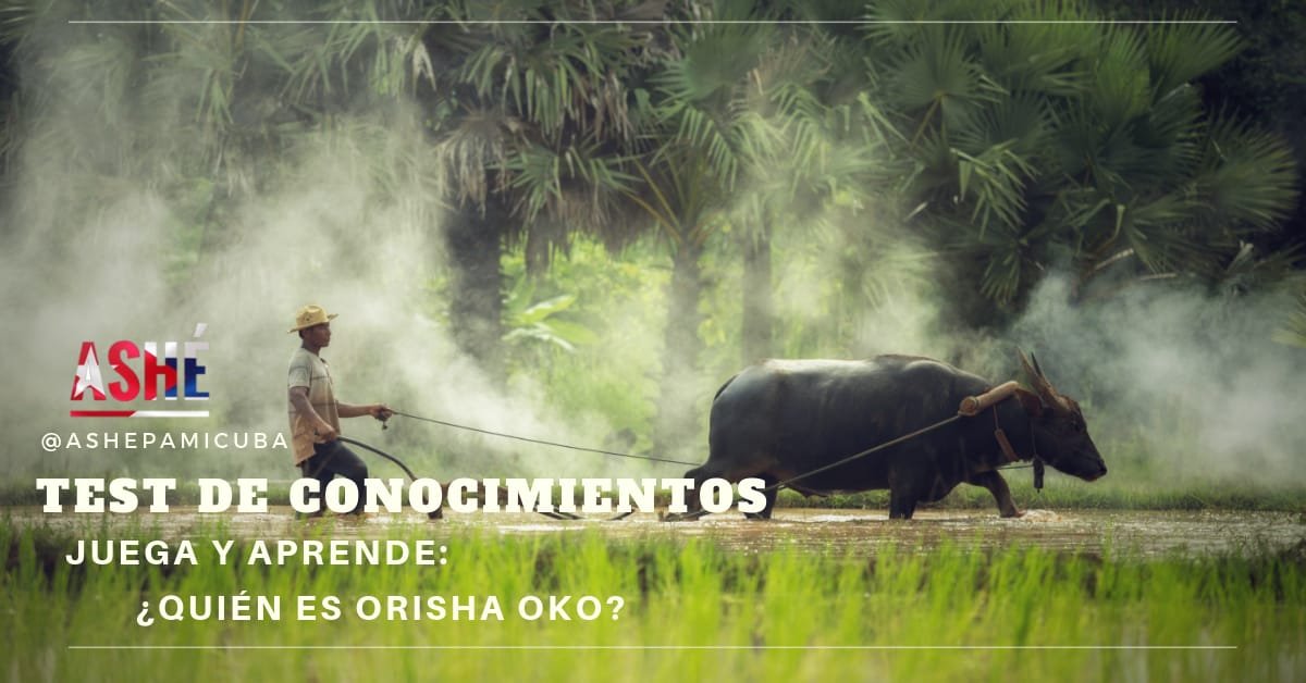 Who is Orisha Oko?