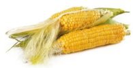 Corn spiritual meaning