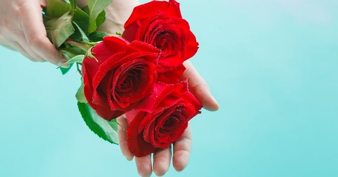 Ofrenda a Elegguá con rosas