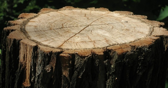 Pilón de madera