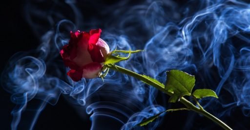 3 Inciensos de rosas para el amor
