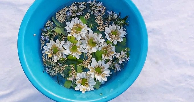 Baños para limpieza espiritual con flores blancas