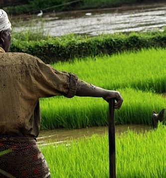 Letra del año en Ogbe Otura
