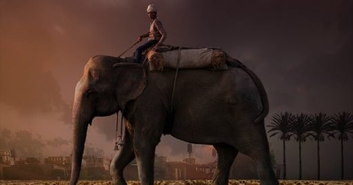 Pataki de Orula y el elefante
