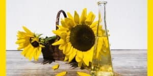 Aceite de girasol usos