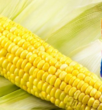 Ritual de 7 potencias