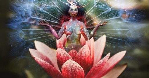 Flor de loto significado espiritual