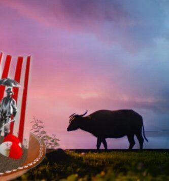 Características Orisha Oko