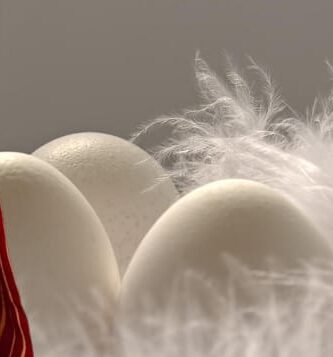 Ebbó pie de Elegguá