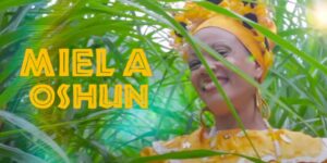 Letra canción Miel a Oshún