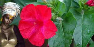 Addimú al pie de Oyá