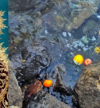 Ofrenda a la Virgen de Regla